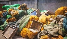 江苏爆料非法捕捞案最新,揭秘黑幕，守护碧水蓝天