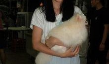 郭奕芯同学爆料视频,揭秘幕后真相