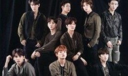 理想被大哥爆料视频在线观看,揭秘理想背后的真相