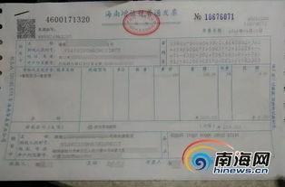 吃瓜乐作文400字