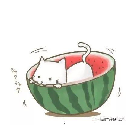 吃瓜娱乐酱头像图片高清