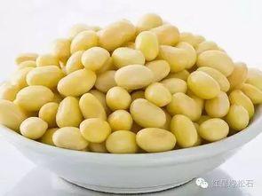 娱乐吃瓜酱葫芦