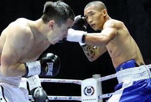 吃瓜娱乐拳击视频,吃瓜娱乐拳击视频大盘点